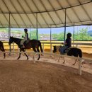 개령서부초교 이미지