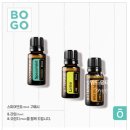 라임오렌지 이미지