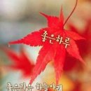 세무법인금현 - 서구 이음대로 384 | 세무법인금현