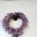 콩가듀에 이미지