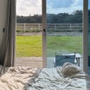 팜팜스테이 이미지