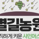 농부청과 이미지