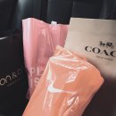 40~50대 엄마생일선물 추천 - 파주 롯데프리미엄 아울렛에서 코치가방 구매후기:)
