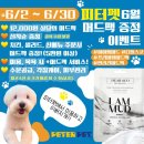 피터펫 논현점 이미지