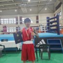 용인대 탑복싱 이미지