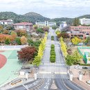 동국대학교(WISE) 불교문화대학원 이미지