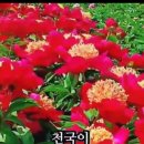 오늘은 이미지