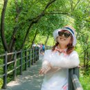 경의선숲길공원 이미지