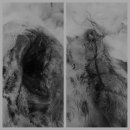 주동물병원 이미지