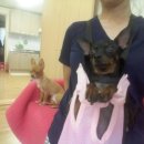 자매의하루 이미지