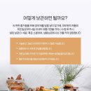 진천쌀빵미잠미과진천