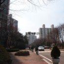 한일건설중기 | [분당 정자동아파트] 한솔마을 한일 3단지
