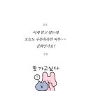 에스테라피 - 원주시 원일로 89 | 에스테라피