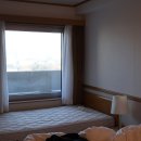 토요코인 대전정부청사앞 이미지