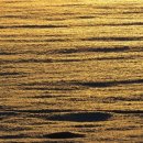 청담행정사사무소 이미지