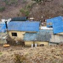 김씨농장 네이버블로그