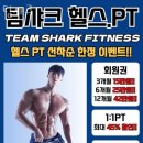팀샤크