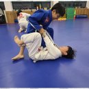 튼튼합기도 이미지