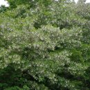 숭산초등학교 이미지