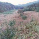 영주시부석면임곡보건진료소 | [법원경매입찰방법] 대법원 부동산경매사이트에서 물건찾는방법 경북영주동 현대강변타운 아파트(아파트...