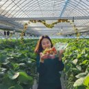 모월농장 이미지