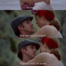 The Notebook 이미지