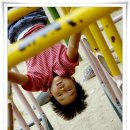 신자초등학교 이미지