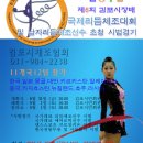 제6회 김포시장배 국제리듬체조대회 및 남자리듬체조선수 초청 시범경기 이미지