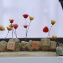 DMZ 안보관광 코스 이미지