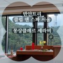 몽상플라워 | [서울/중구]'반얀트리 클럽 앤 스파 서울' 프리미어 풀 남산뷰와 '몽상클레르' 세라비 케이크