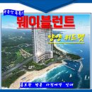 양양이펫 네이버블로그