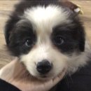 종은농장 이미지