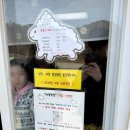 하양 | 홍천 양떼목장 하양목장 후기