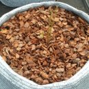 병규농장 이미지