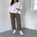세미
