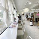 VIVA J HAIR(비바제이헤어)