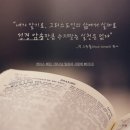 행하길 8 이미지