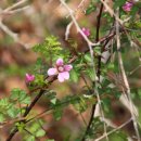 자연의 순환 이미지