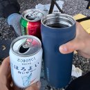 가야시장(도미닉신발앞) | 경남 키즈캠핑장 의령 더멍스테이 B5