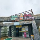 문경에코월드 거미열차 후기 경북 여행 문경 아이와 함께 가볼만한 곳