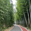 풍자농원 이미지