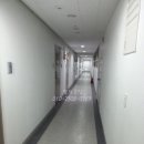 비즈트위트 레인보우 이미지