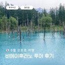 삿포로 6월 여행 비에이투어 추천 내돈내산 후기 투어업체비교 마이리얼트립 6월 코드