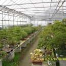 무등농원 이미지