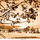 봉현서부초등학교 이미지