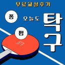 성남시 분당구 무료 탁구교실 후기 - 오늘도 탁구