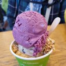 퀸스타운의원 이미지