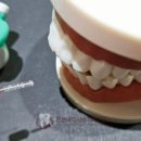 튼튼내이사랑치과의원 이미지