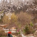 들꽃피는언덕 캠핑장 이미지