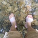 명암539펜션오토캠핑장 이미지